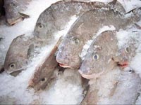 Рыба мороженая