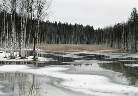 Весенние воды