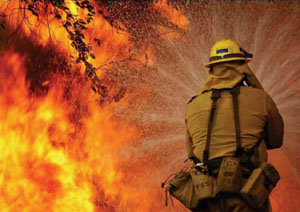 Тушение и профилактика пожаров - главная задача пожарной службы
