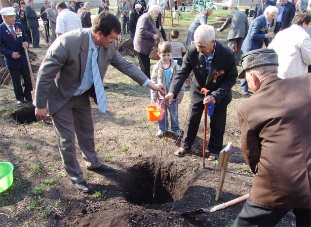 Посадка деревьев в детском саду "Сказка"