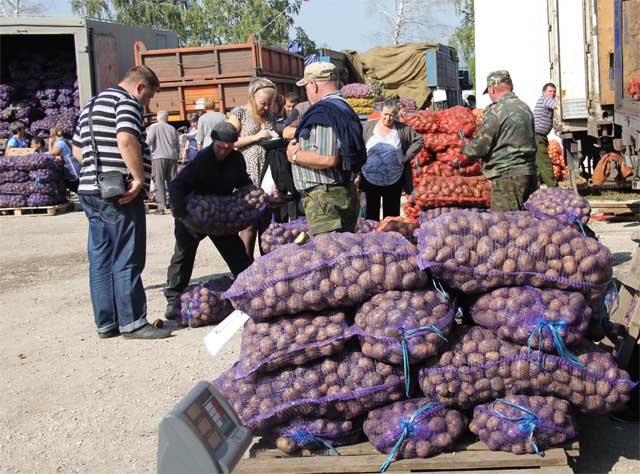 В торговых рядах