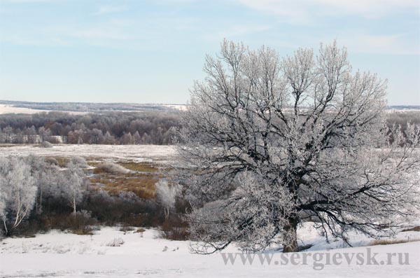 Пойма реки Сок (фото Ю.Силантьевой)