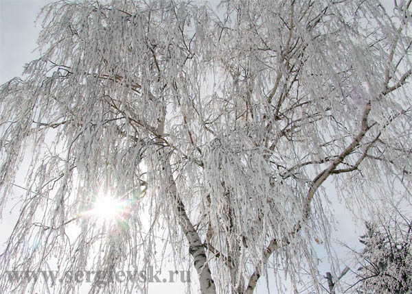 Природа Сергиевского района