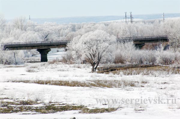 Пойма реки Сок (фото Ю.Силантьевой)